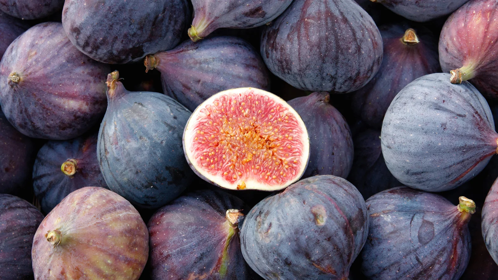 figs.jpg