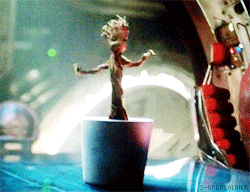 groot1.gif