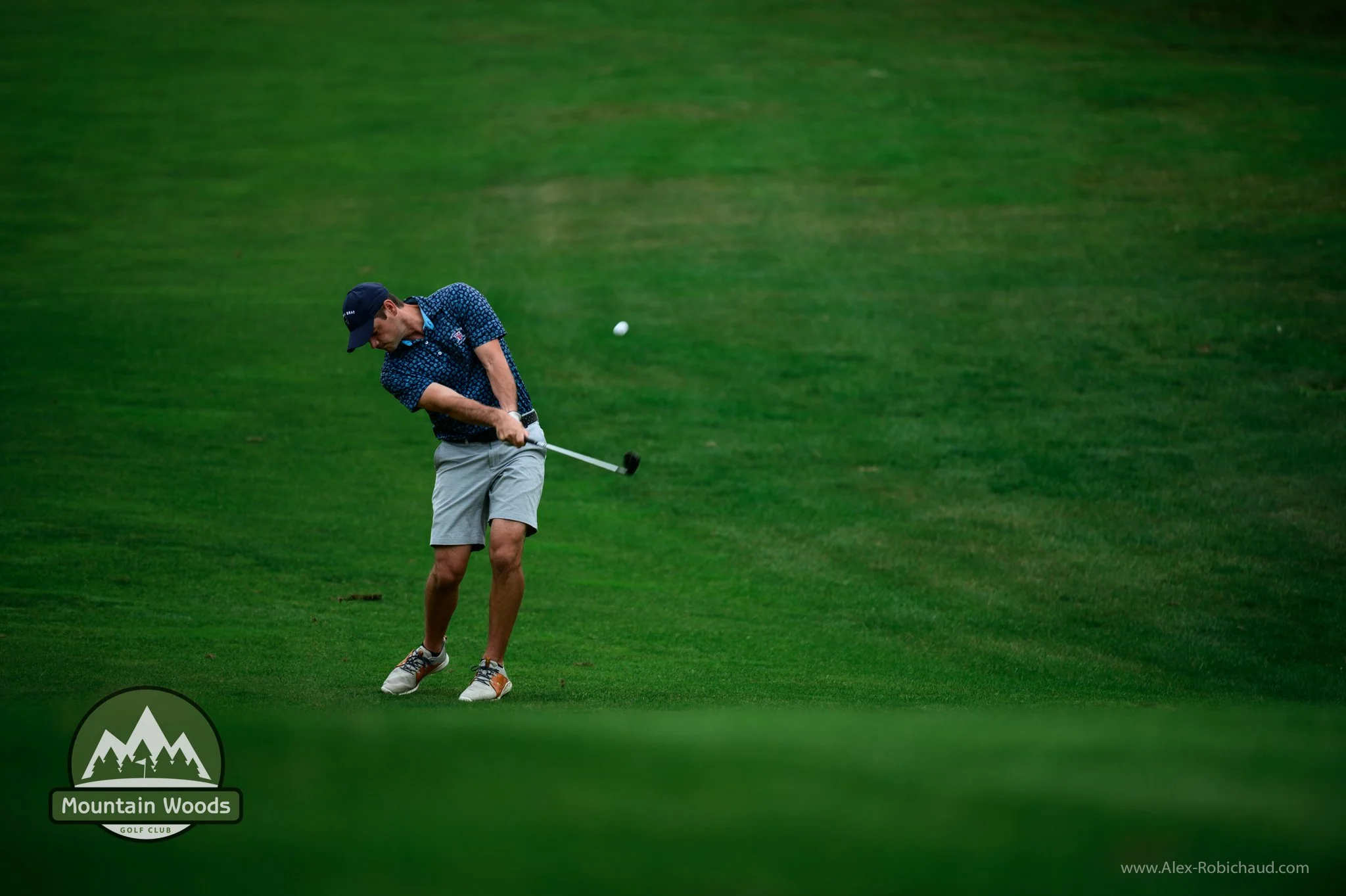 2023-08-13 - Mountain Woods-91.jpg