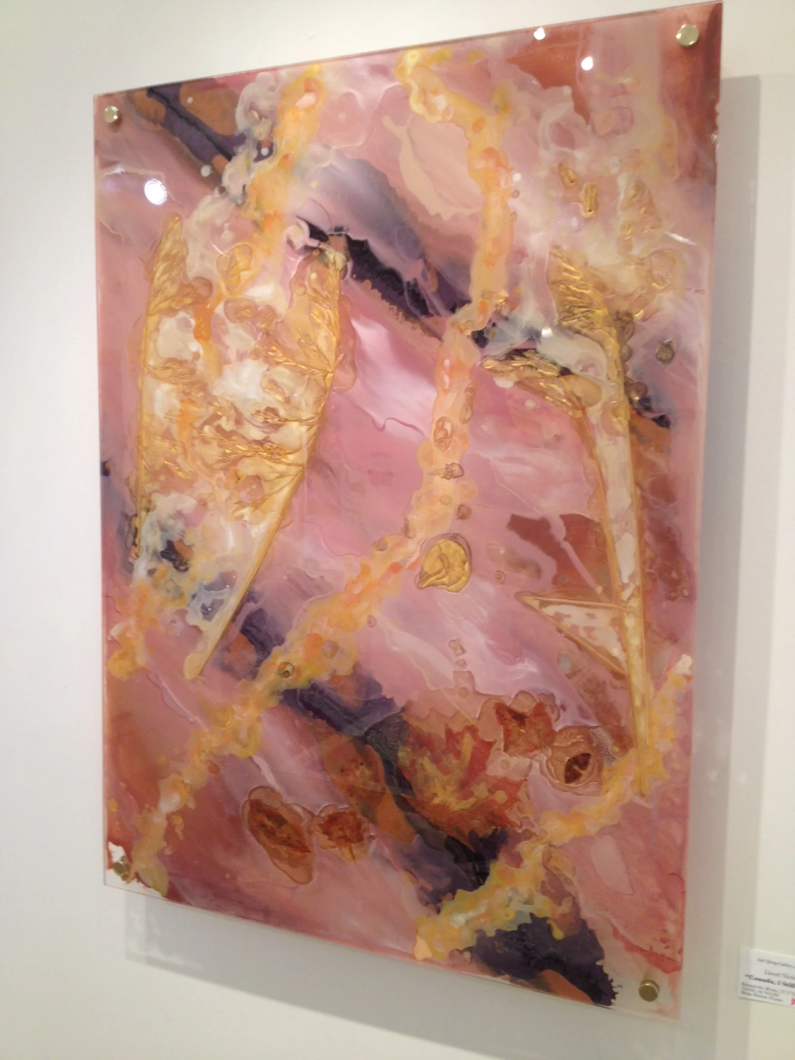 image7.jpeg