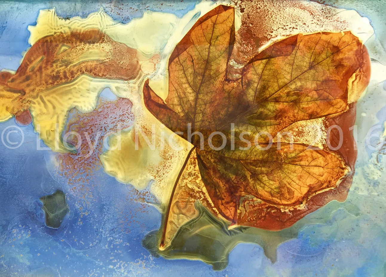 Watching the River Flow 2.3