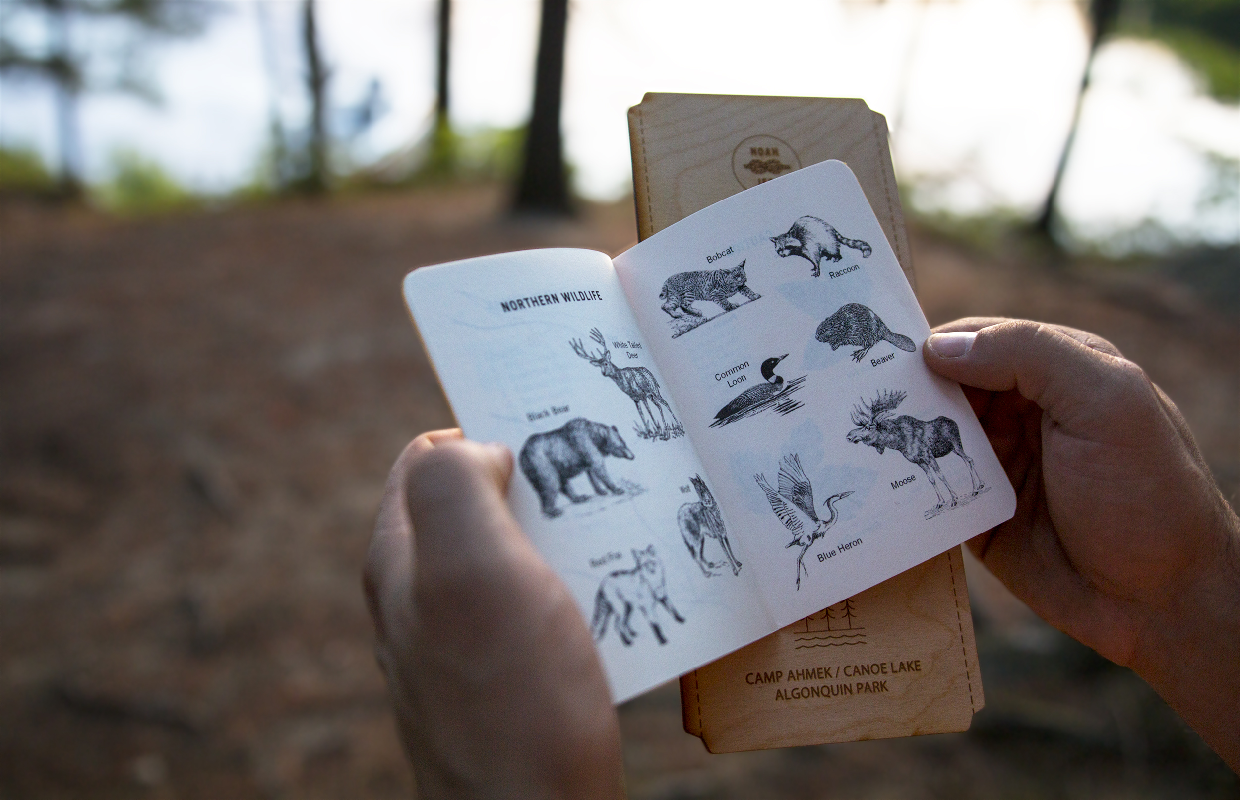 A camp guide was included that gave guests from out-of-town a more comprehensive understanding of local wildlife and notable plants.