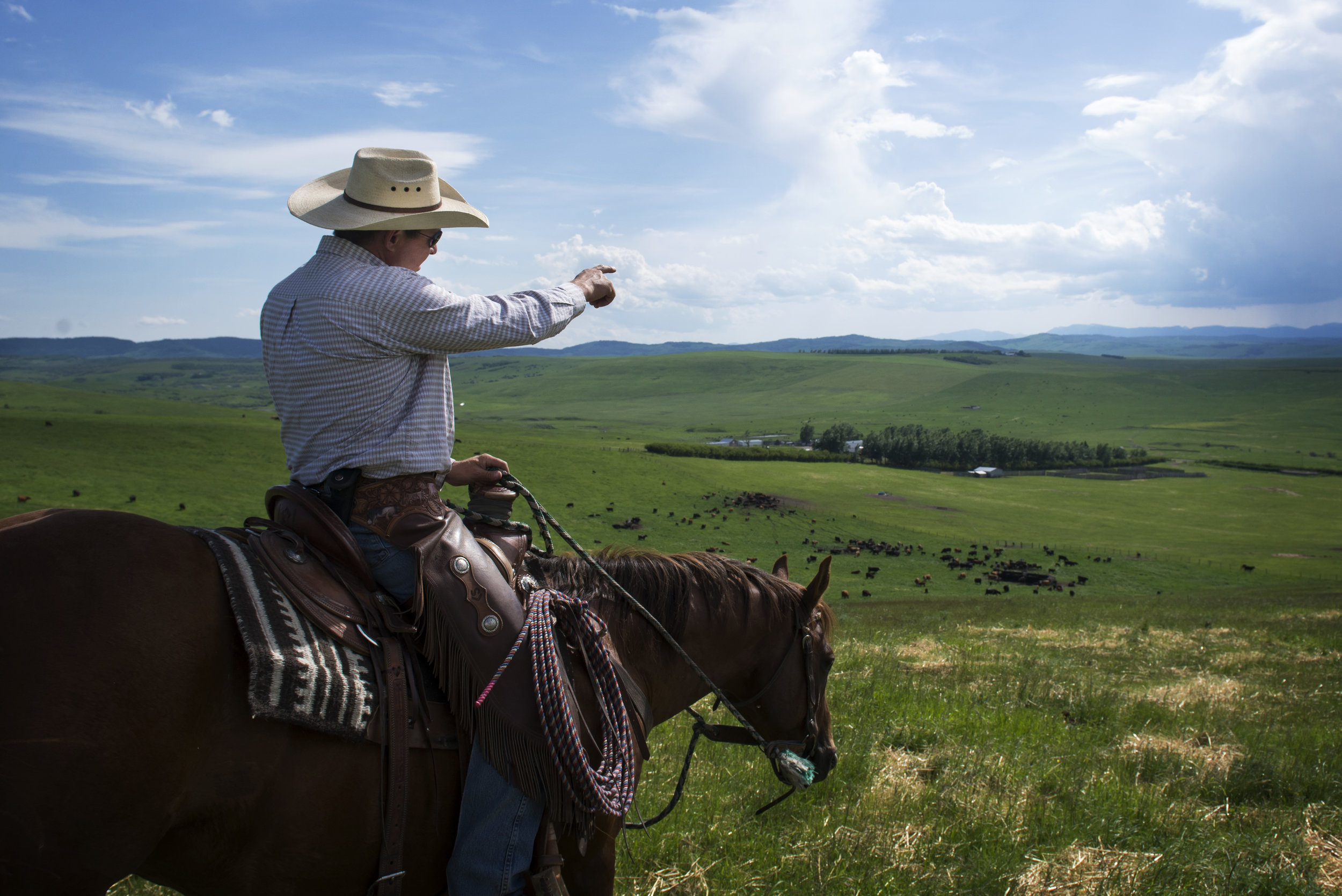 John Smith points toward the Plateau Mountain ahead, which their ranch is named after.