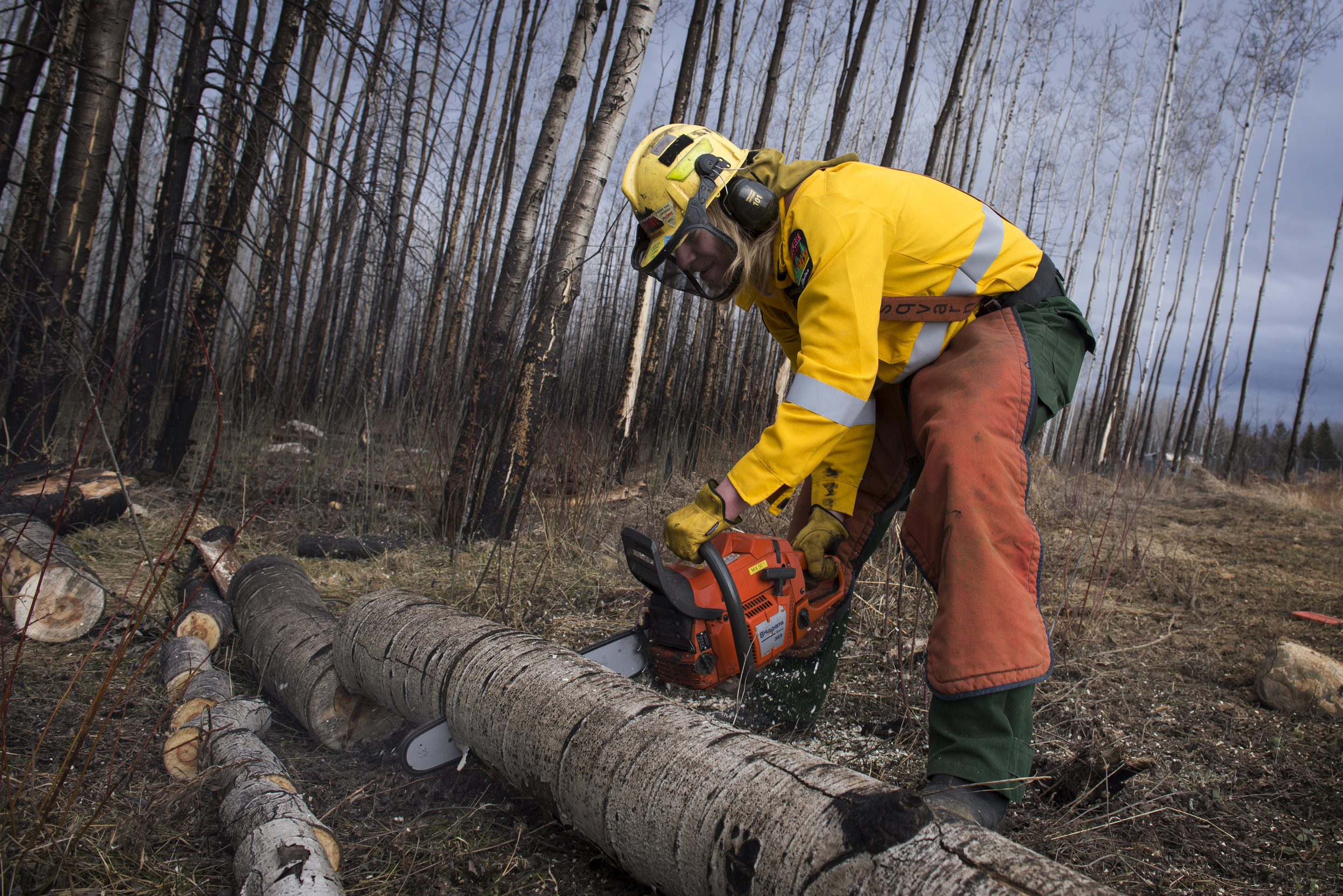 Scott Jennings cuts down the dead trees in the scorched forest surrounding the Fort McMurray air tanker base.