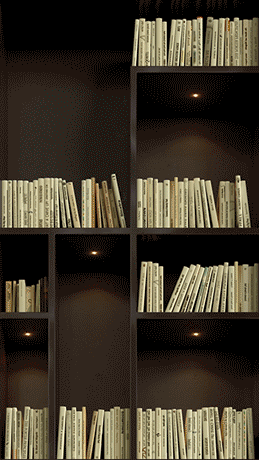 image-asset (1).gif