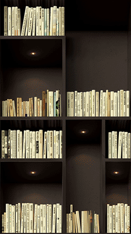 image-asset.gif