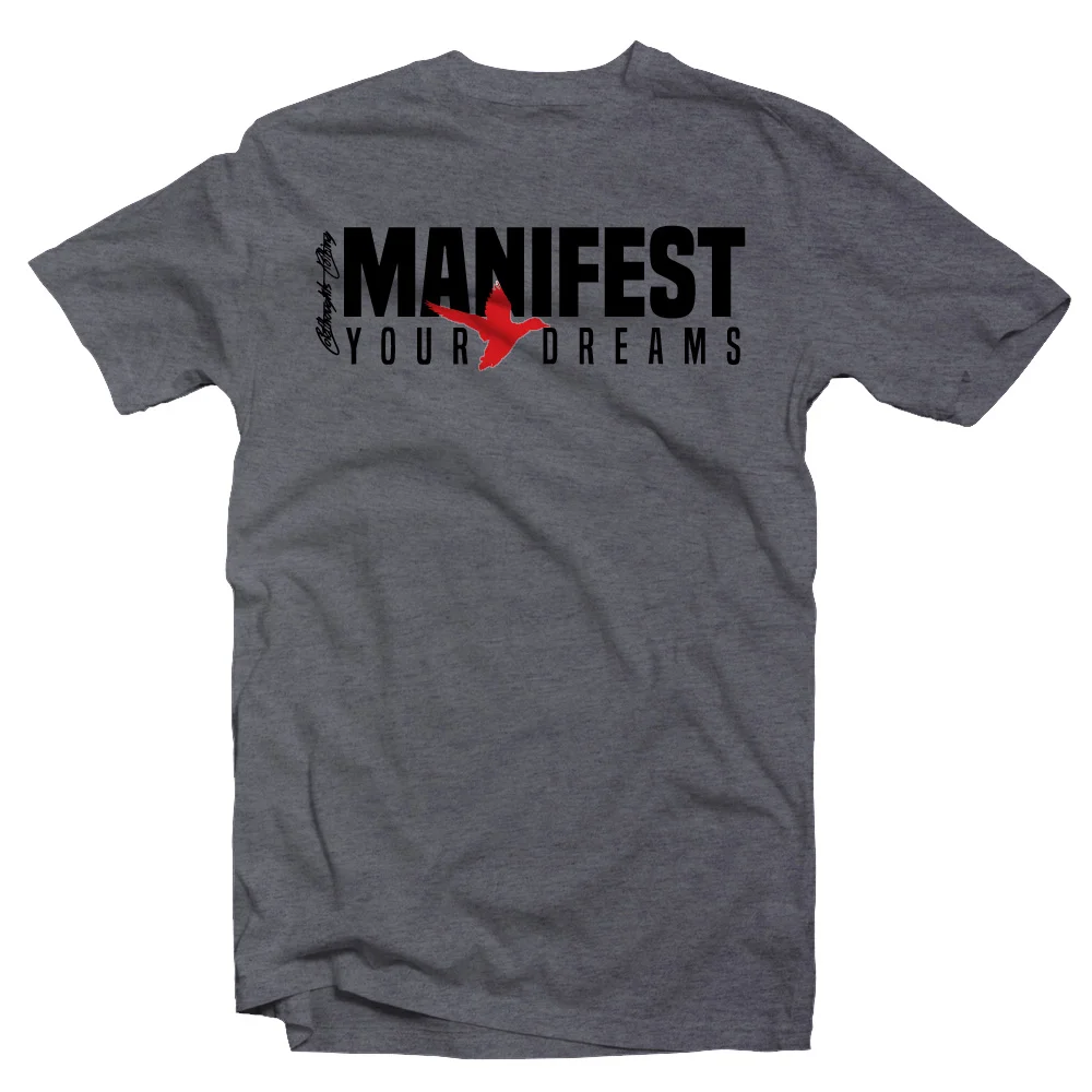 ManifestDream-Grey.jpg