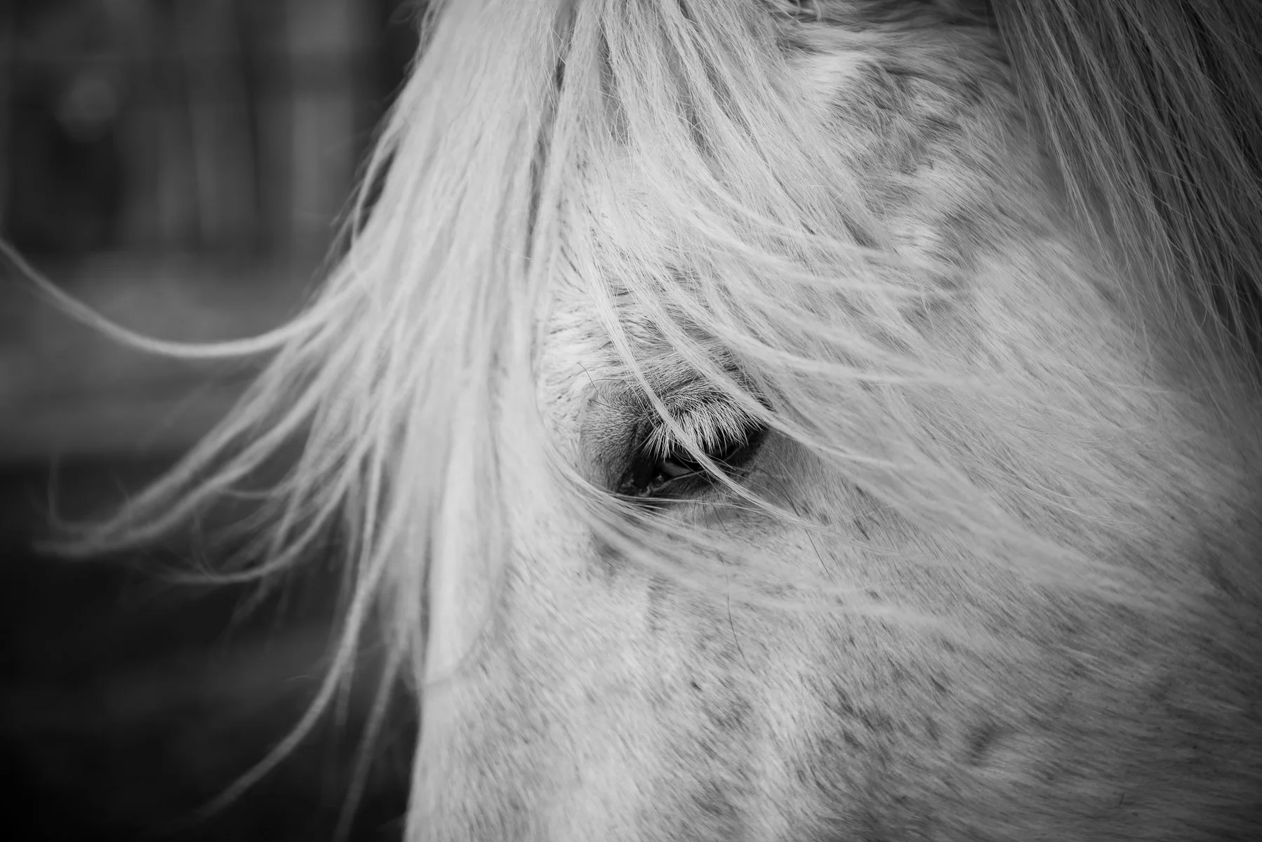 AliciaRiusPhotography-55.jpg
