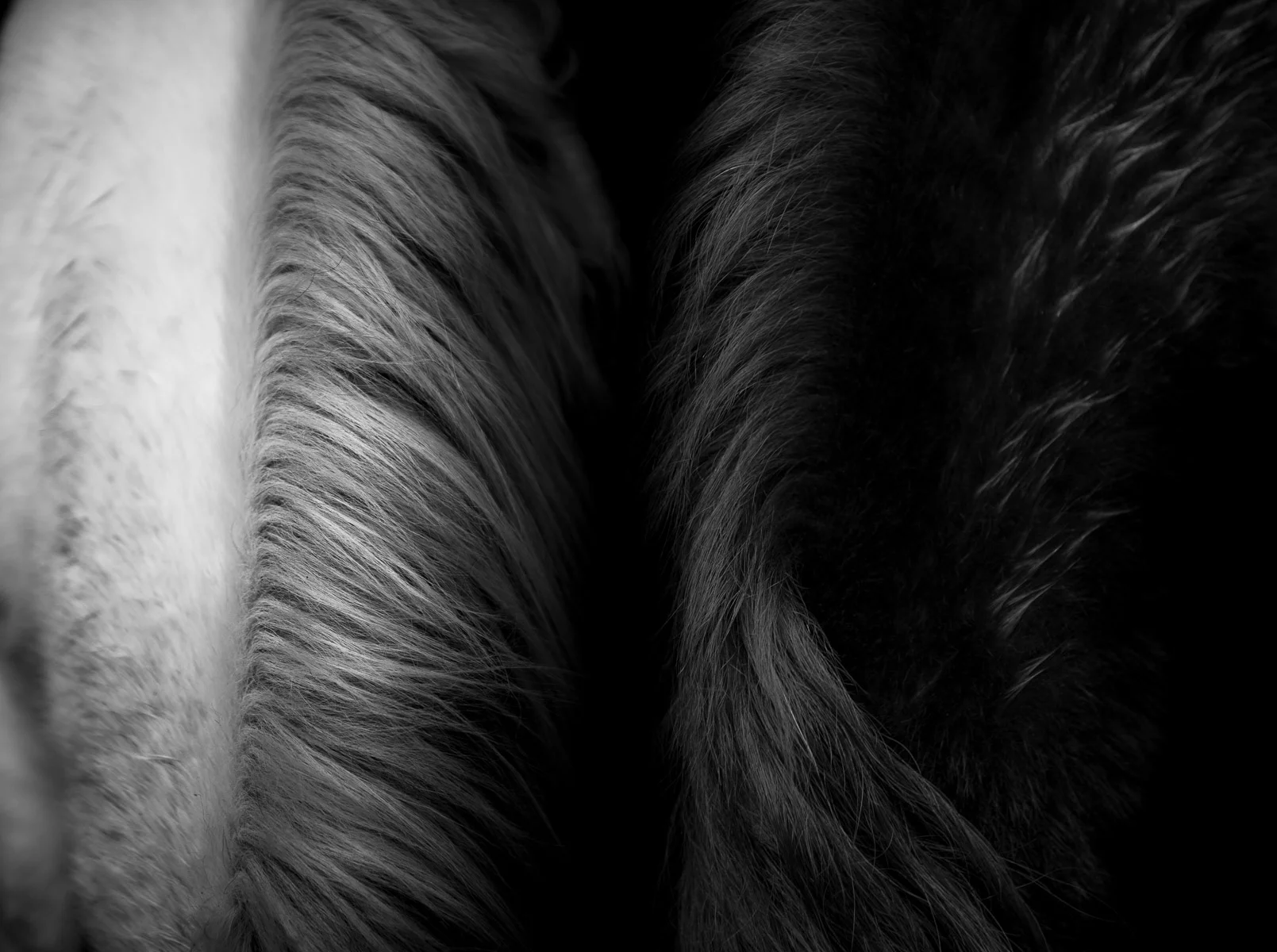 AliciaRiusPhotography-5.jpg