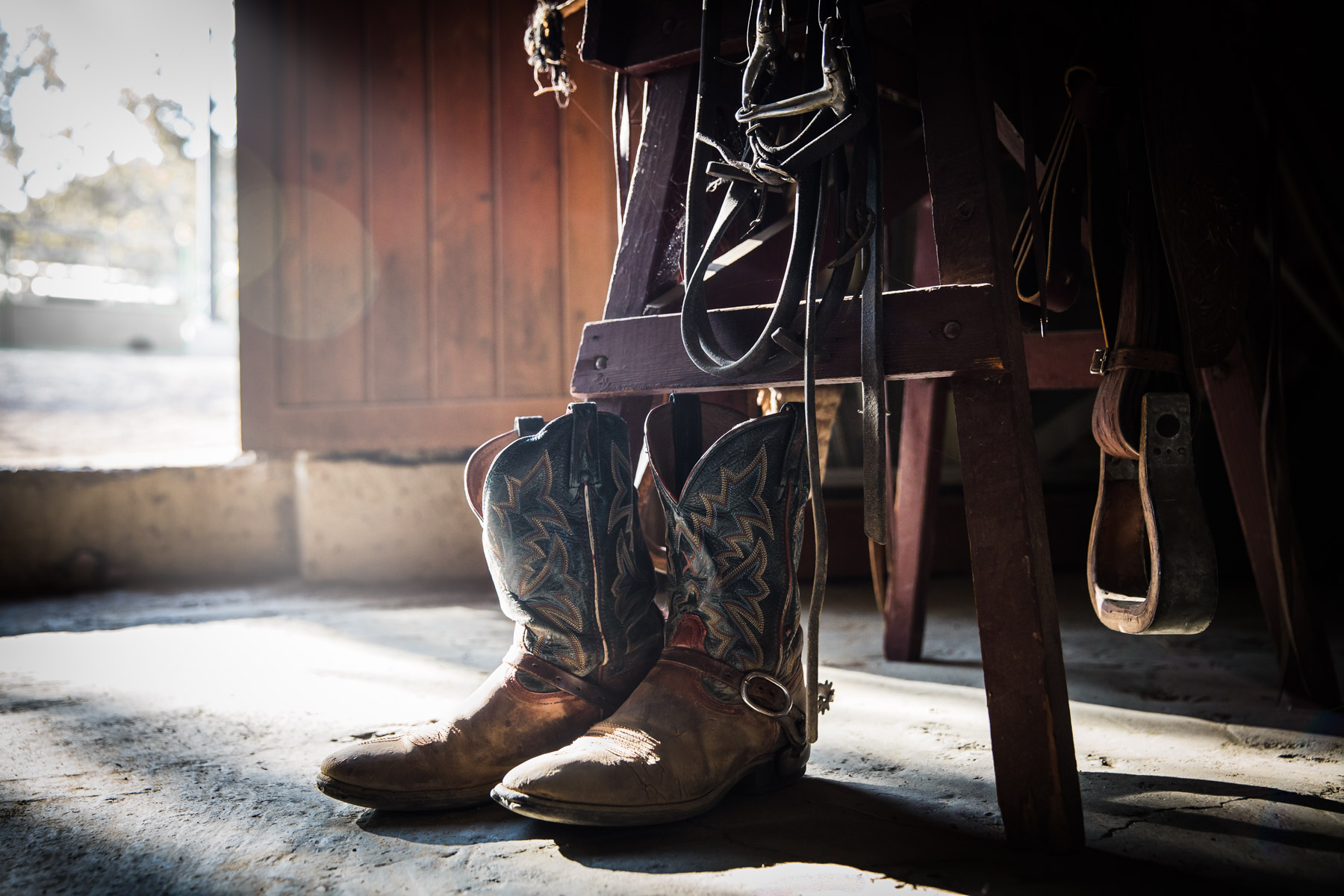 Ojai-horsmanship-equine-school-photography-31.jpg