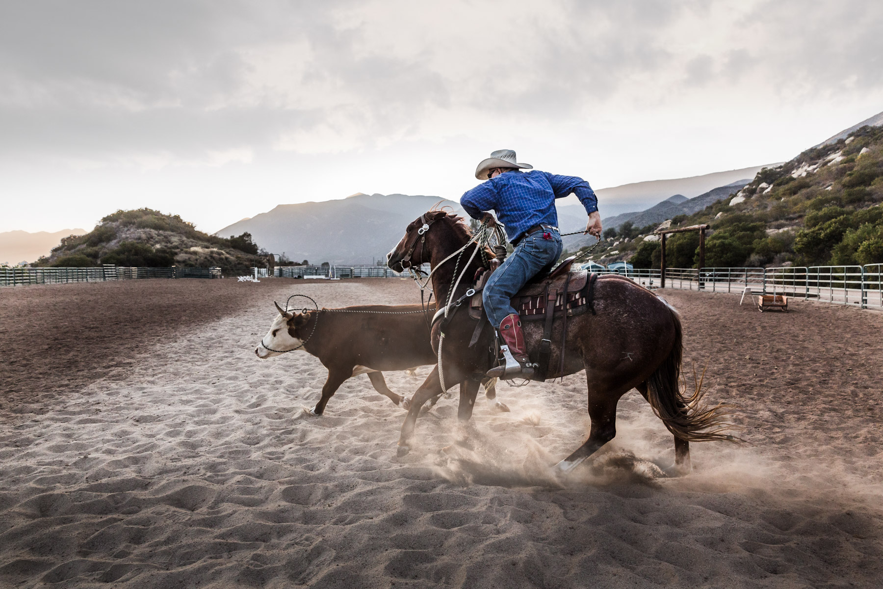 Ojai-horsmanship-equine-school-photography-75.jpg