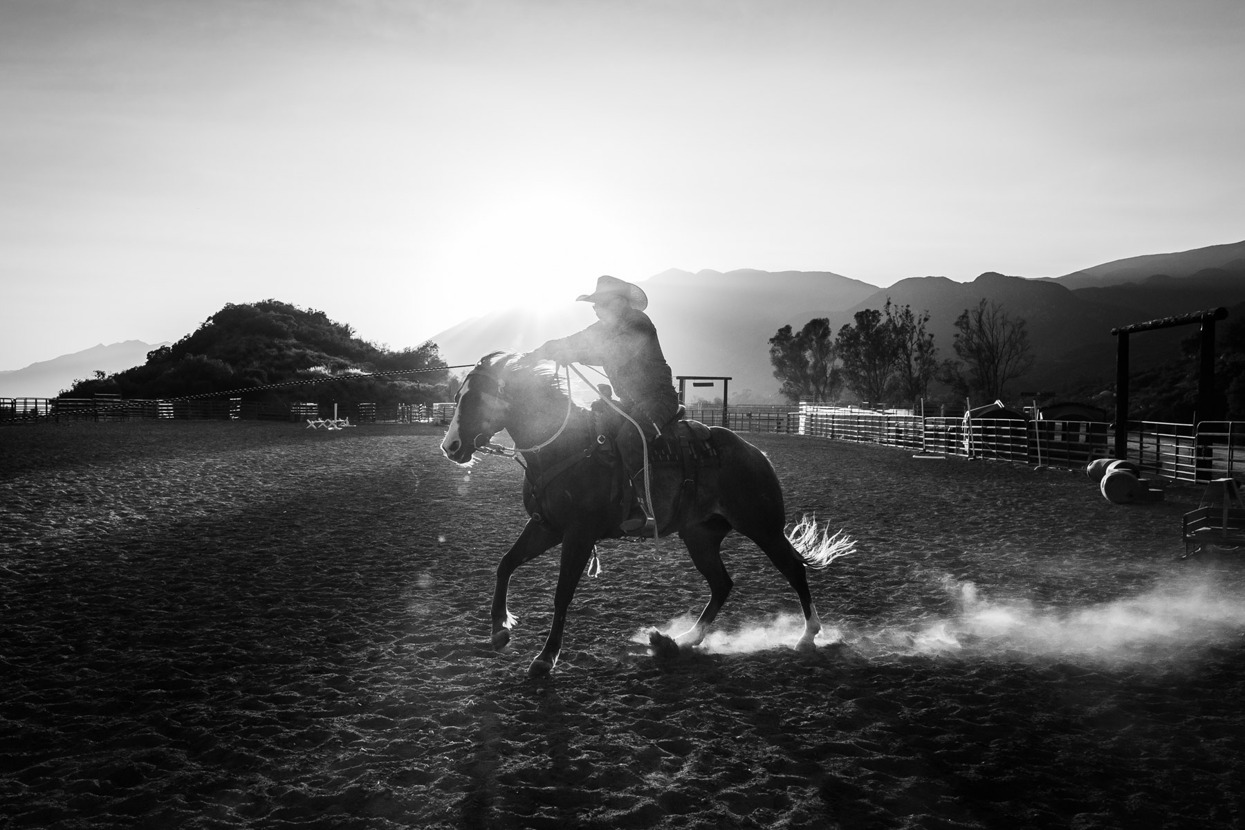 Ojai-horsmanship-equine-school-photography-80.jpg