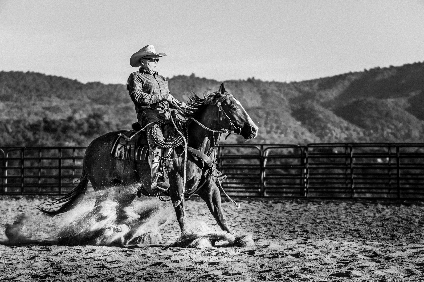 Ojai-horsmanship-equine-school-photography-78.jpg