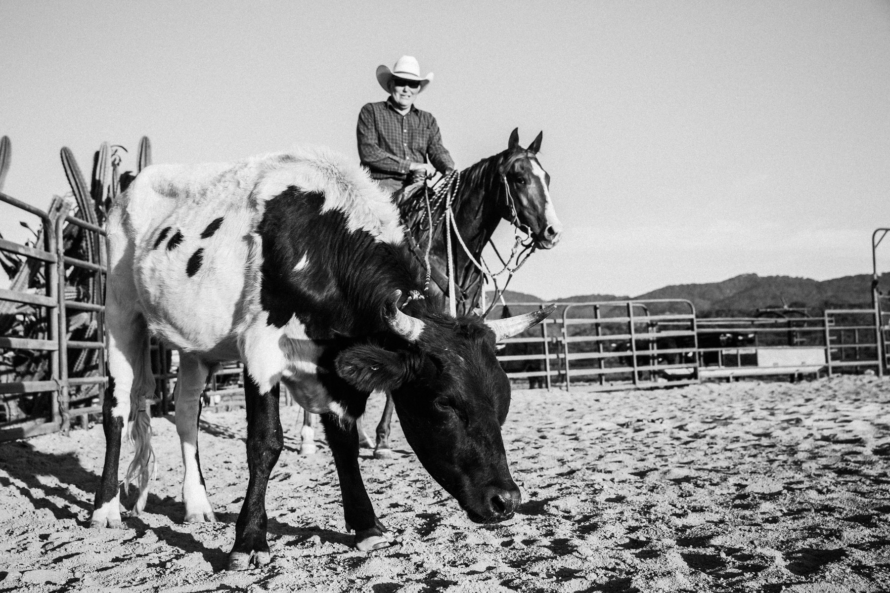Ojai-horsmanship-equine-school-photography-81.jpg