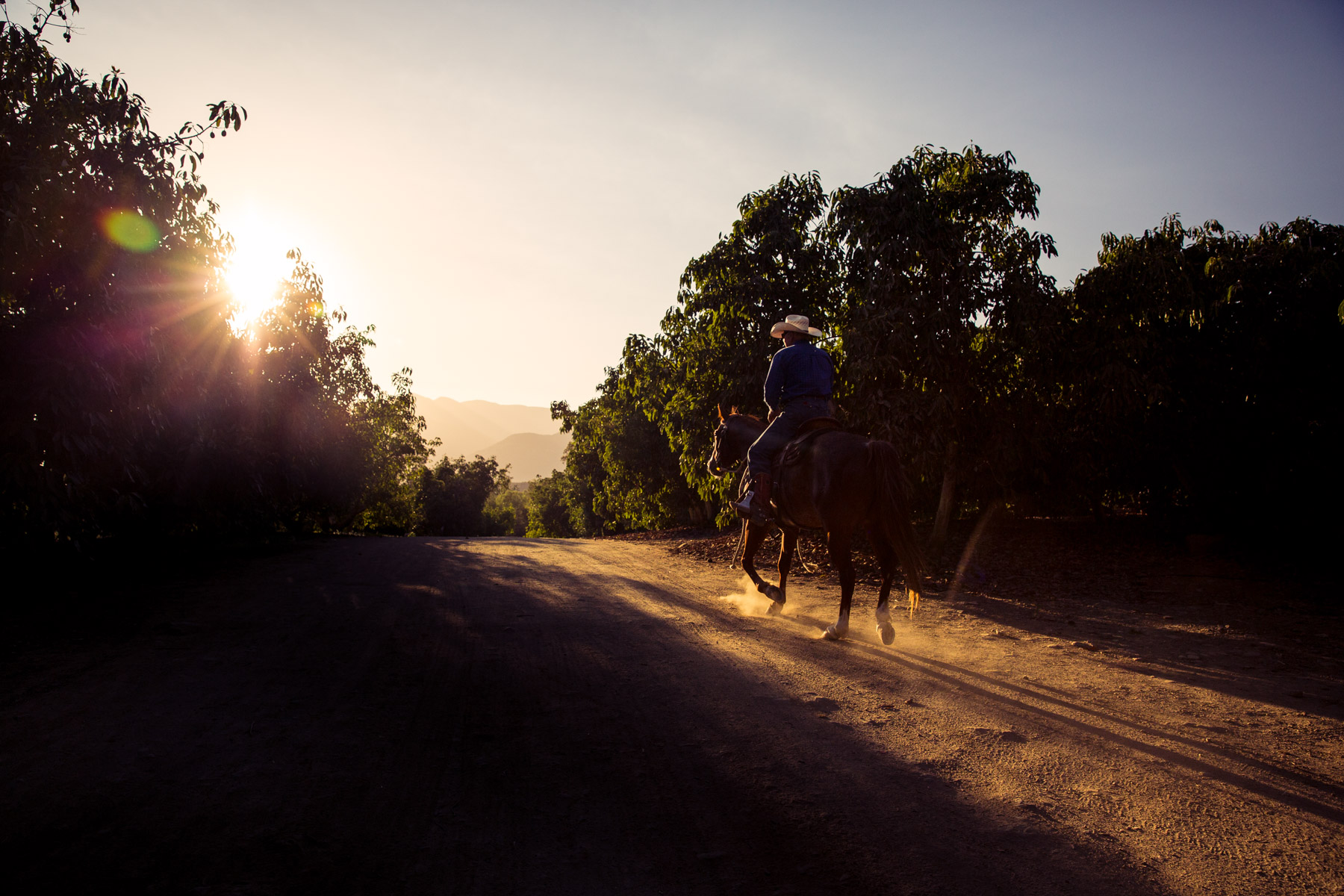 Ojai-horsmanship-equine-school-photography-108.jpg