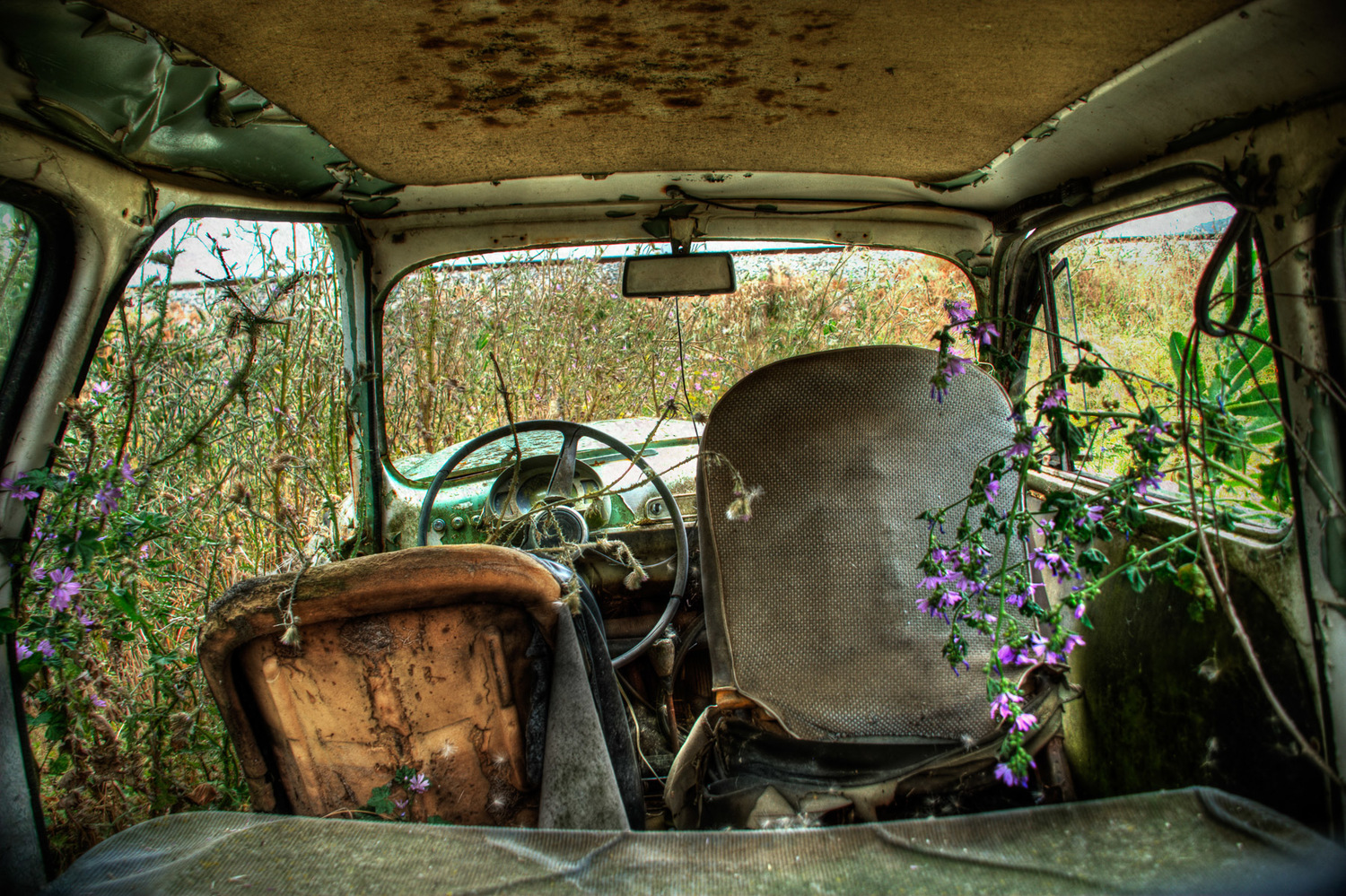 abandoned-photography-car-in-field.jpg