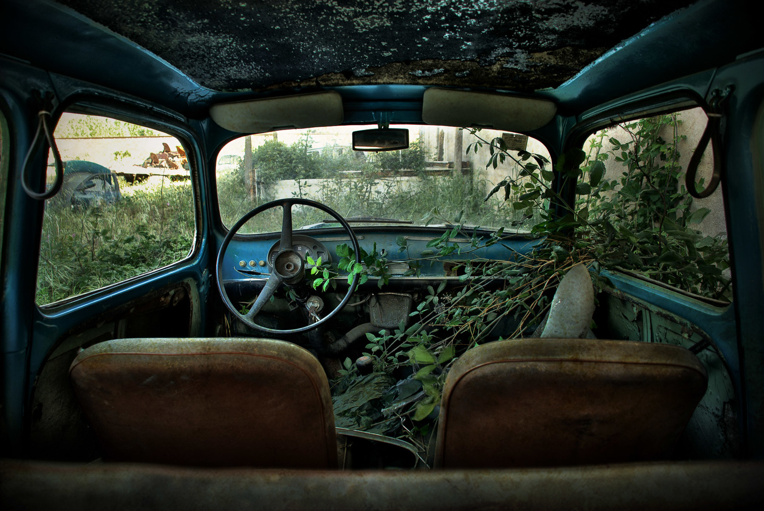 rusy-car-abandoned-in-nature.jpg