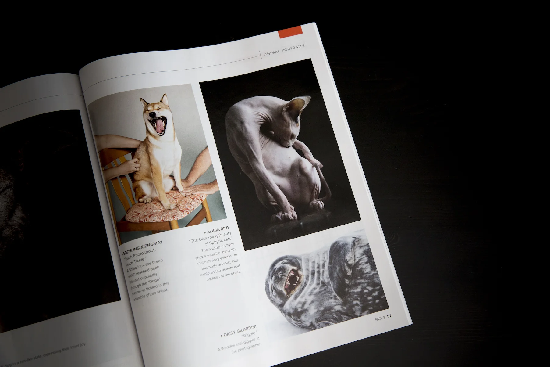 PDN Faces Winner 2015