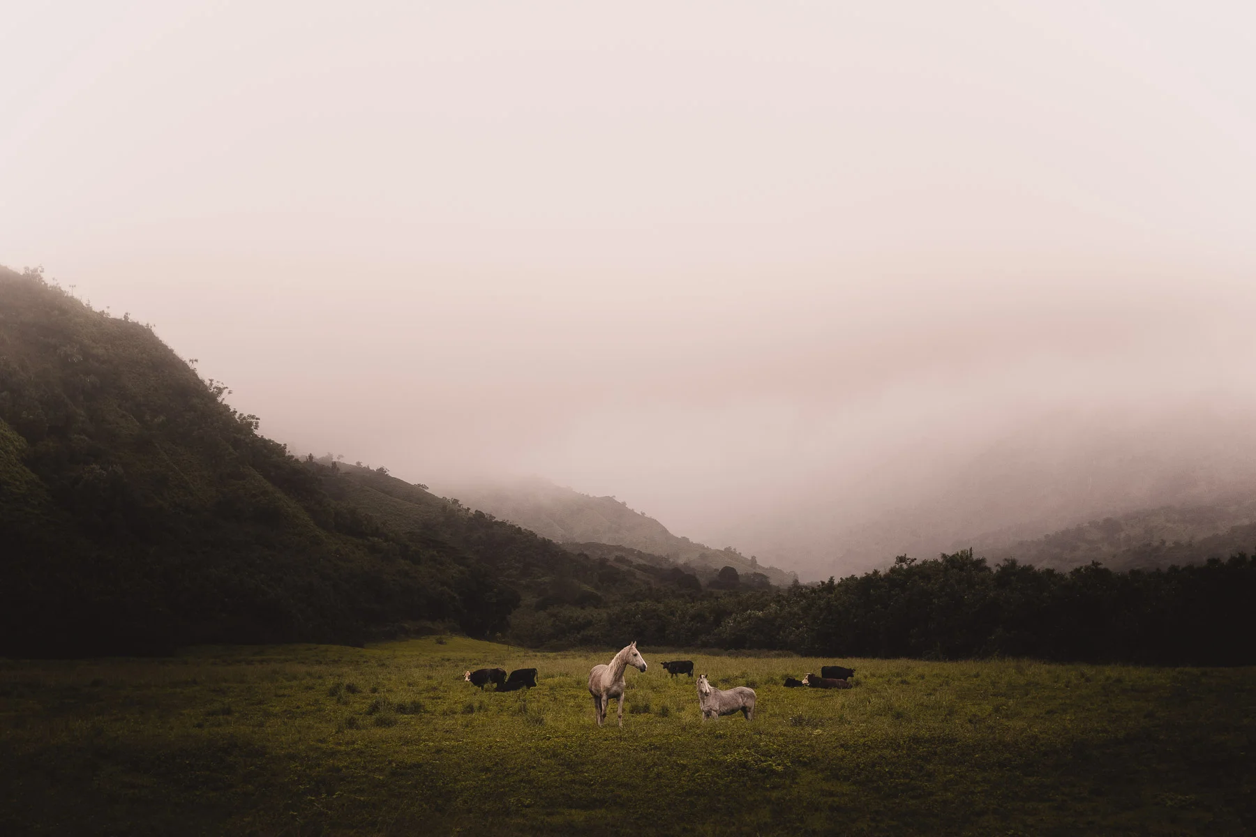 Landscape Photography in Kauai, Hawaii