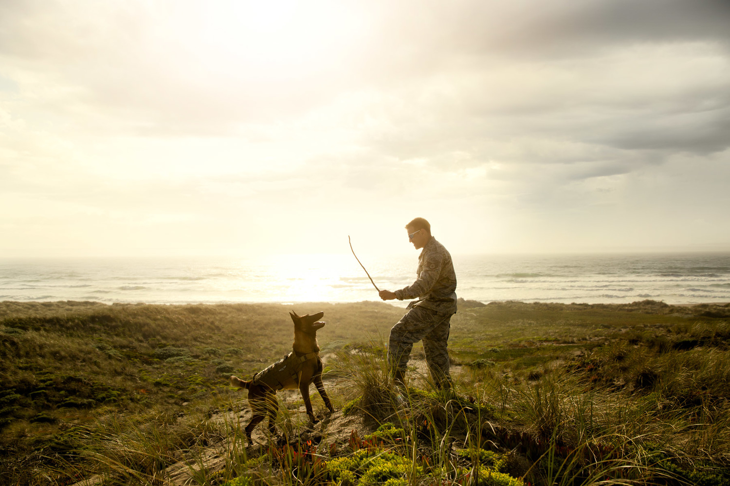 military-man-playing-with-dog-belgian-millanois.jpg