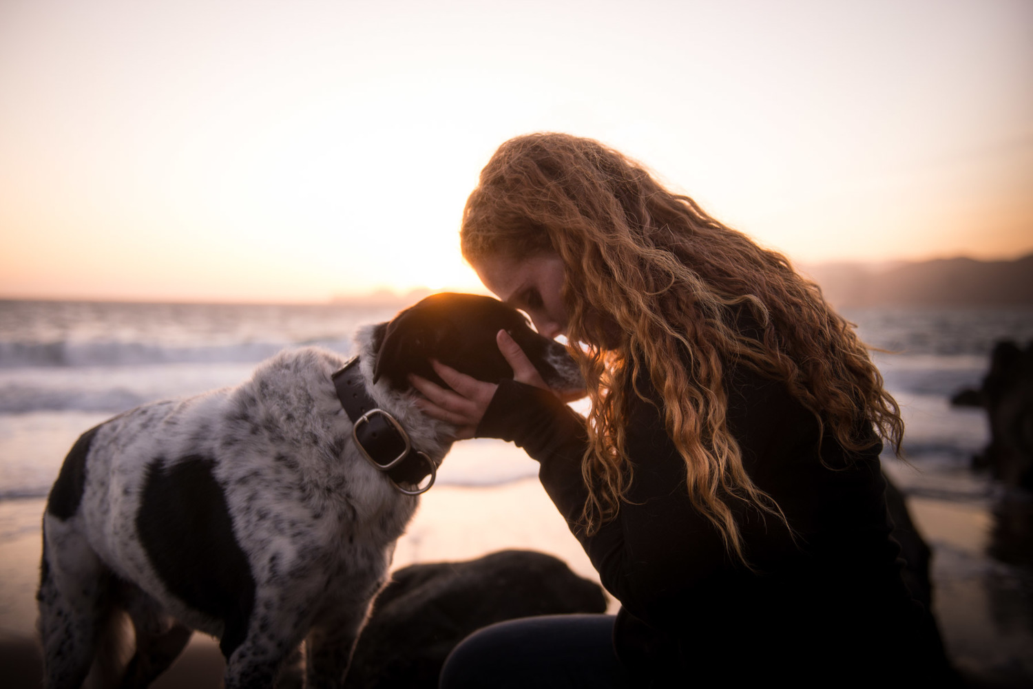 Girl and her 12 year old senior dog during sunset.