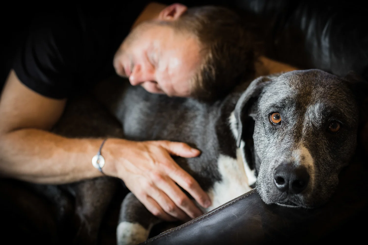 Owner cuddling on a couch his rescue dog.