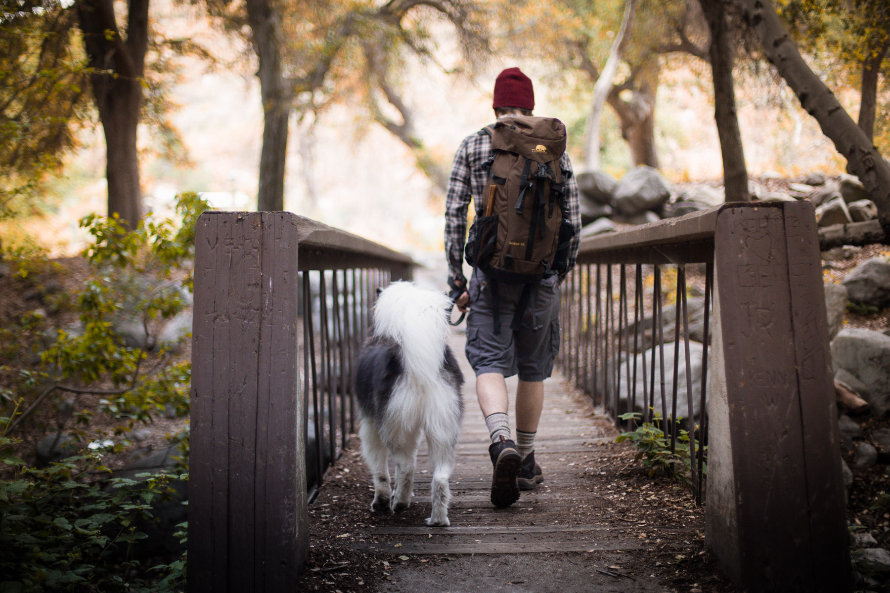 beautiful-photo-dog-owner-walking-sunset-bridge-hiking-adventures-dog-photographer.jpg