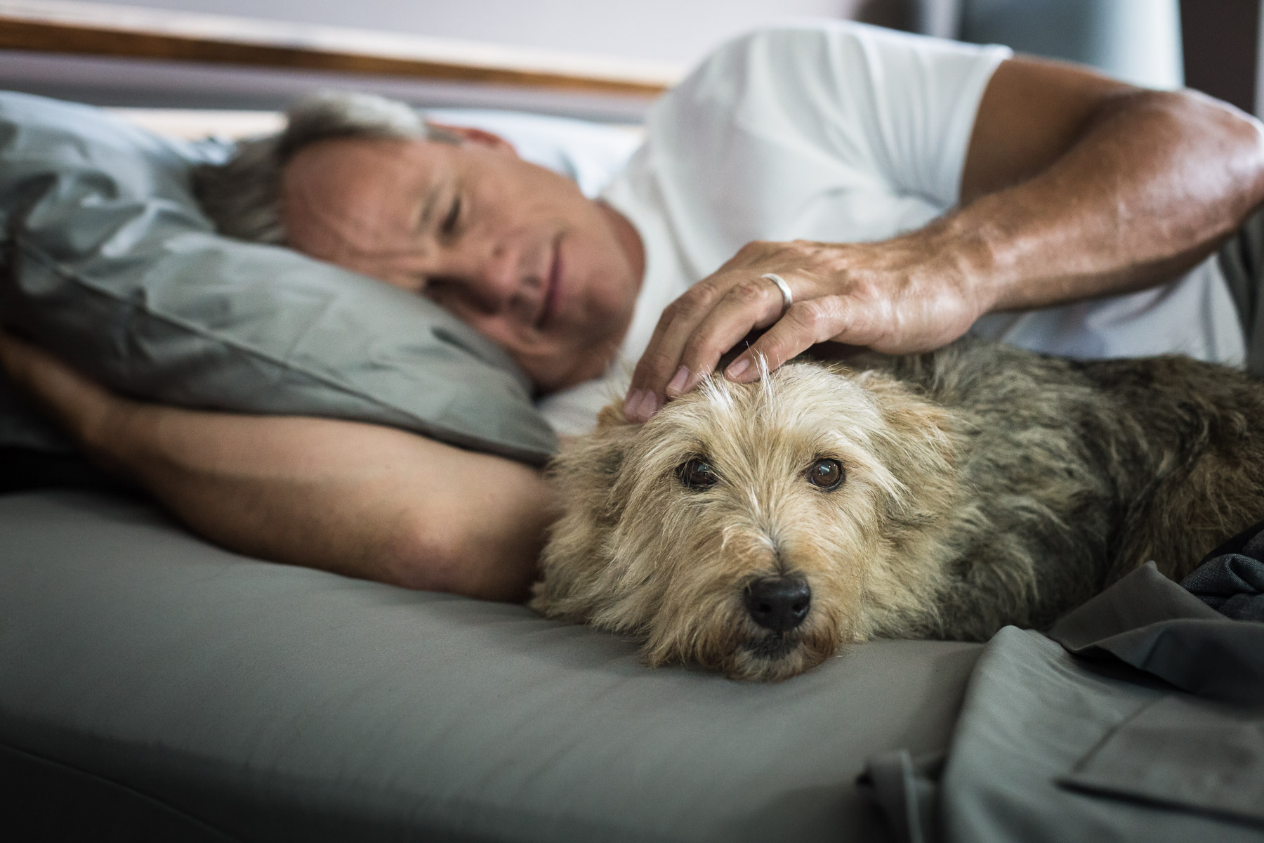 old-man-with-dog-laying-on-bed-dog-photographer.jpg