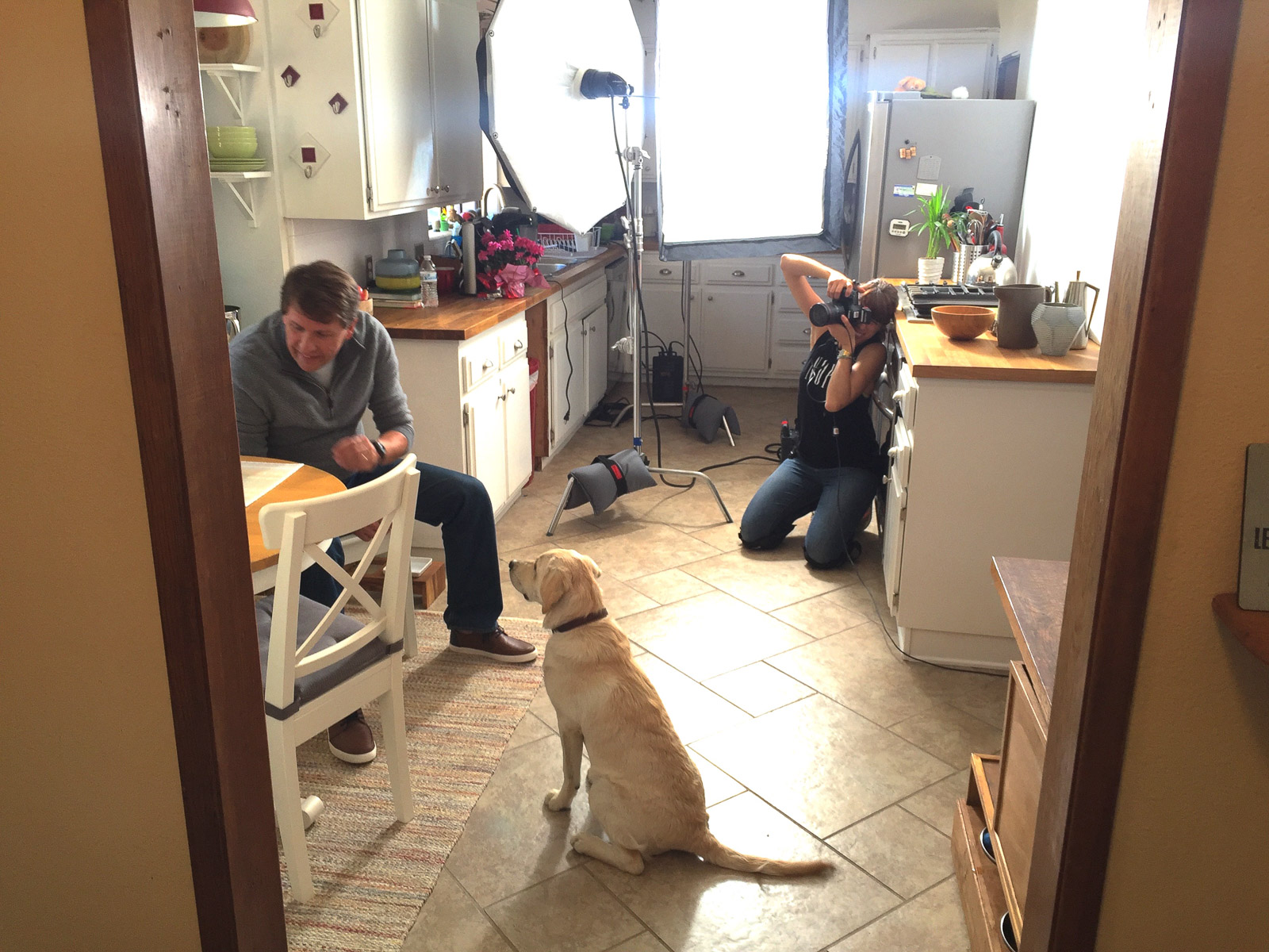 behind-the-scenes-cat-photographer-for-natural-balance-dog-food-commercial-campaign.JPG.jpg