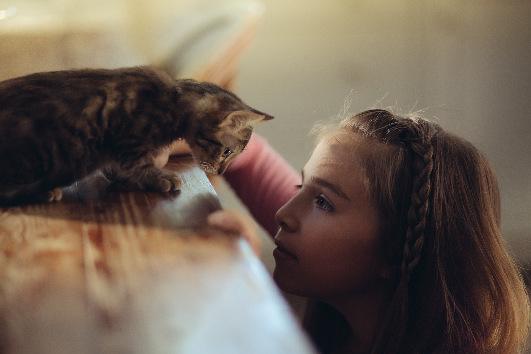 cat-photography-little-girl-with-cat-looking-at-each-other.jpg