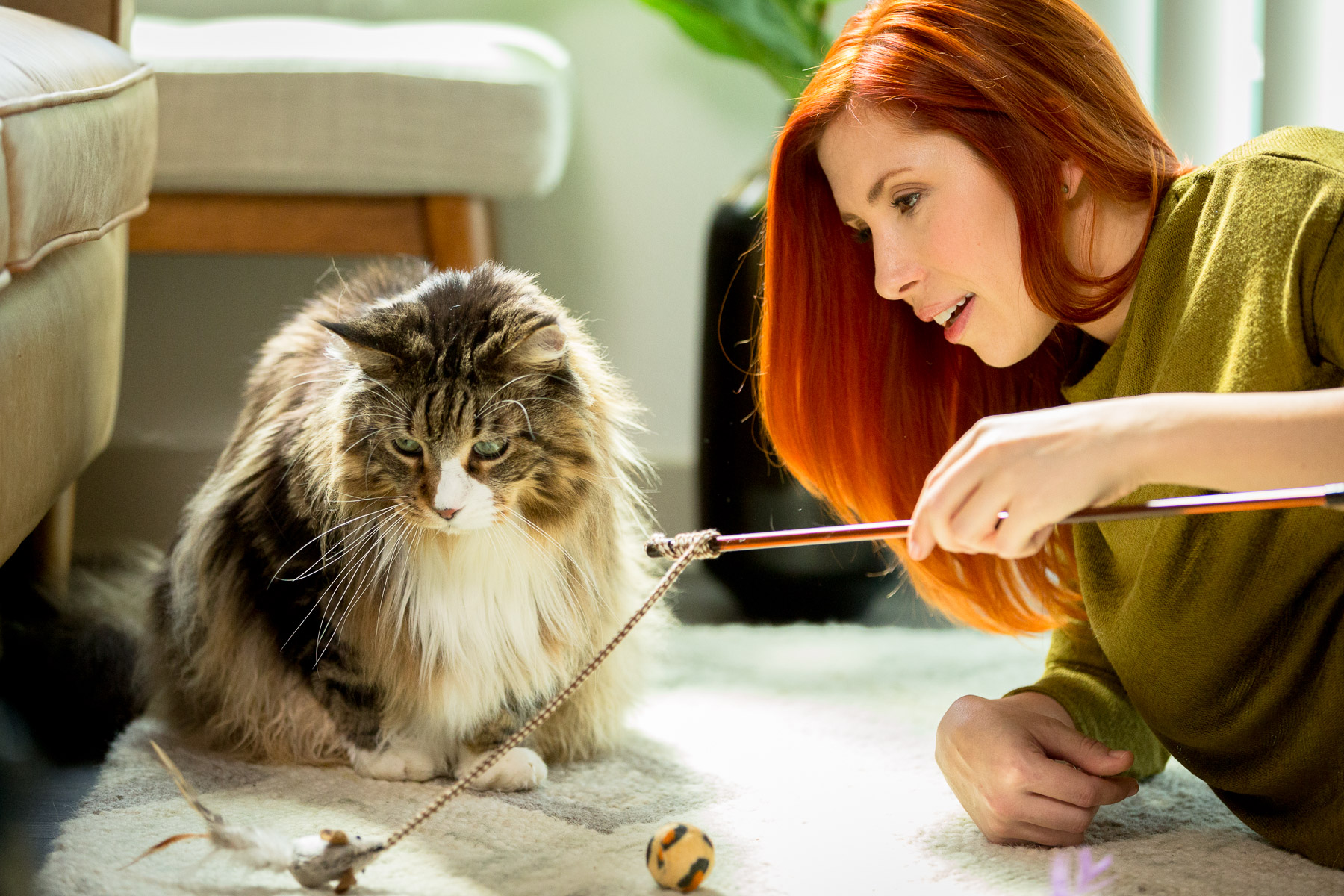 girl-playing-with-cat-lifestyle-animal-photographer.jpg