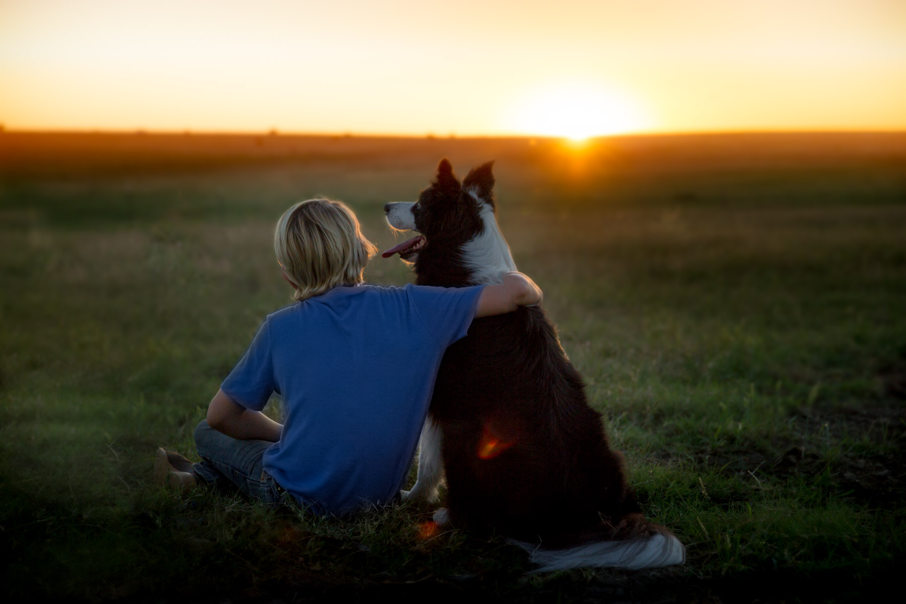 kid-hugging-dog-collie-sunset-outdoors-dog-photography.jpg