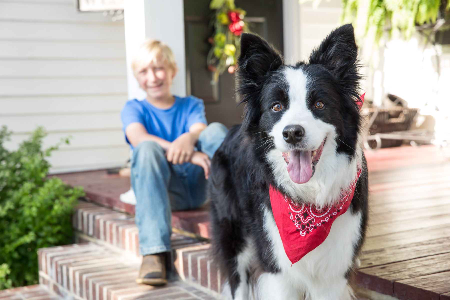 kid-with-dog-looking-camera-smiling-dog-portraits.jpg