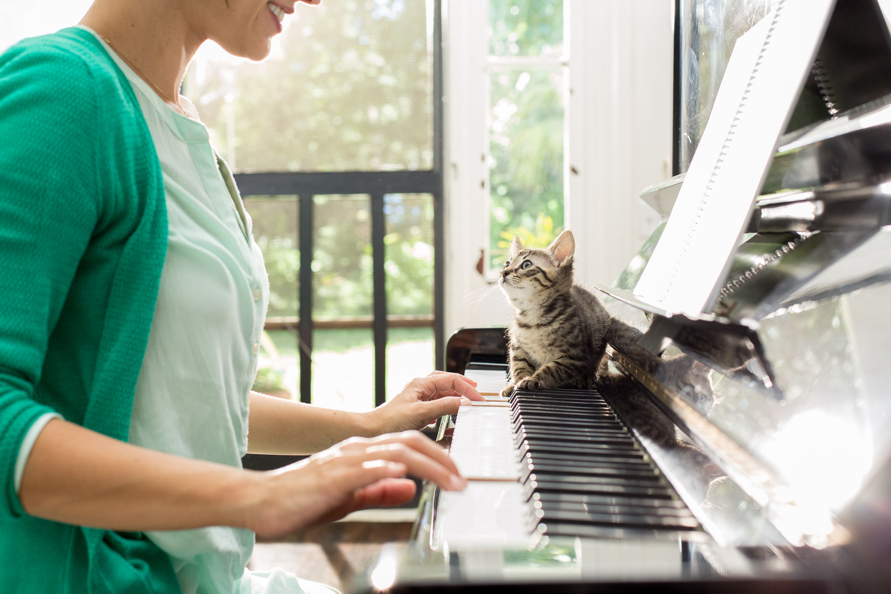 kitty-on-piano-keyboards.jpg