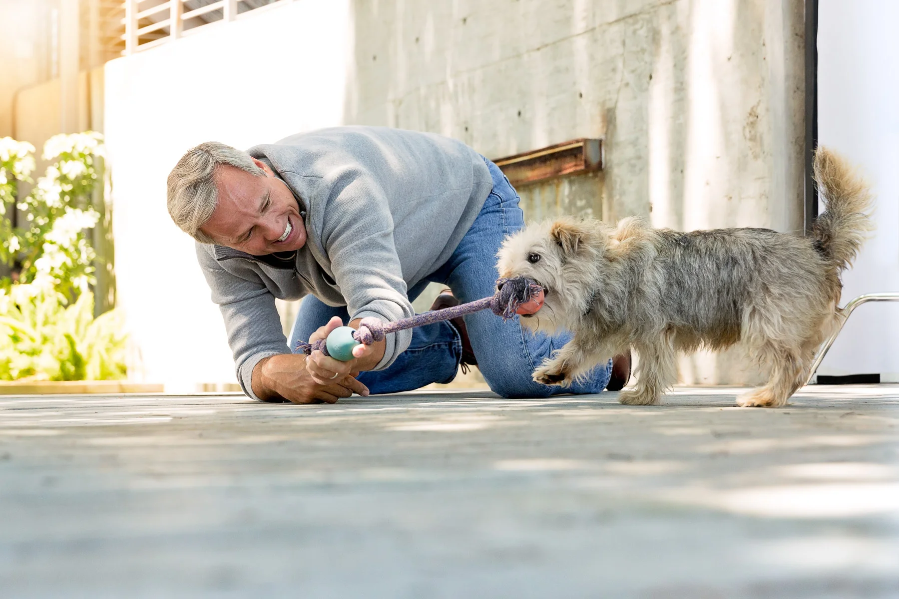 man-dog-playing-tug-o-war-outside-pool.jpg