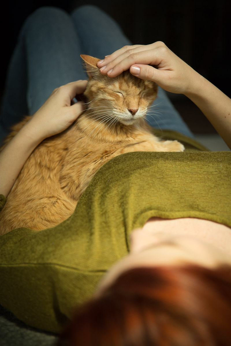 woman-with-cat-laying-chilling-pet-photographer-cat-photography.jpg