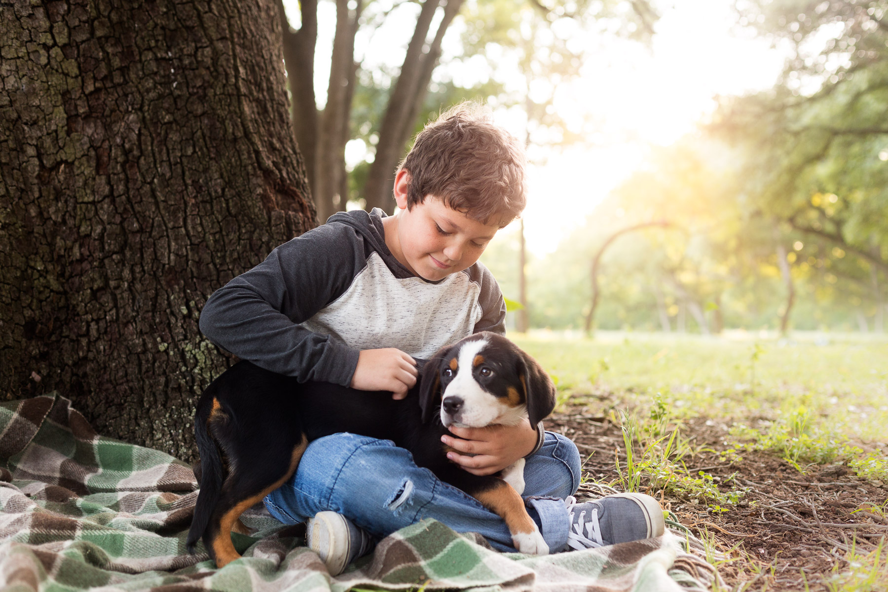 dog-swiss-bernese-puppu-with-boy-kid-together-forest-at-sunset.jpg