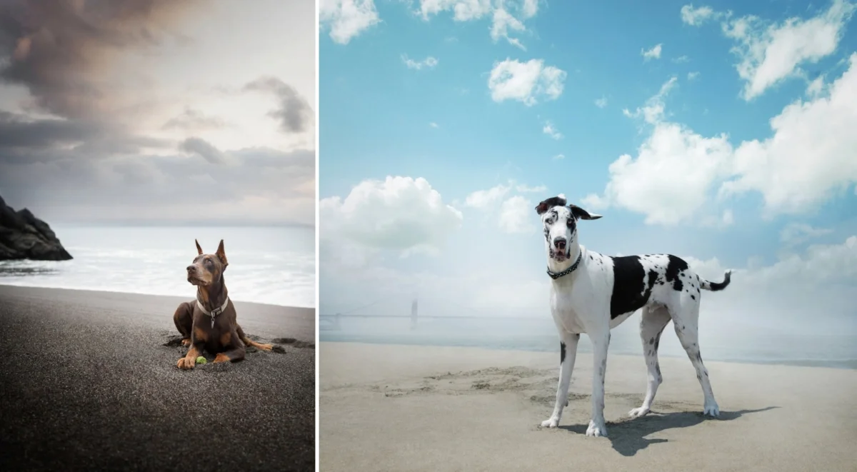 From moody to stoic. Let the weather help you create a different atmostphere.