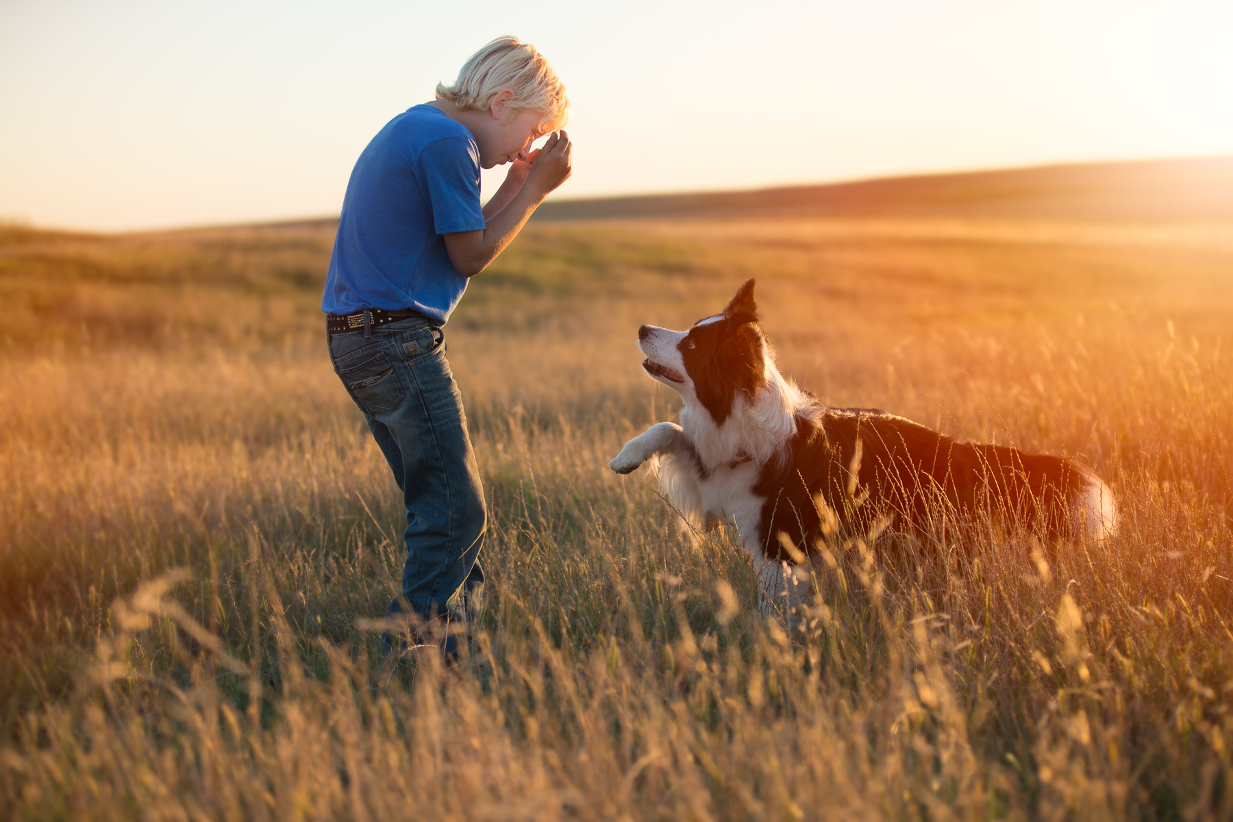 kid-playing-with-dog-hide-seek-outdoors-sunset-dog-photographer.jpg