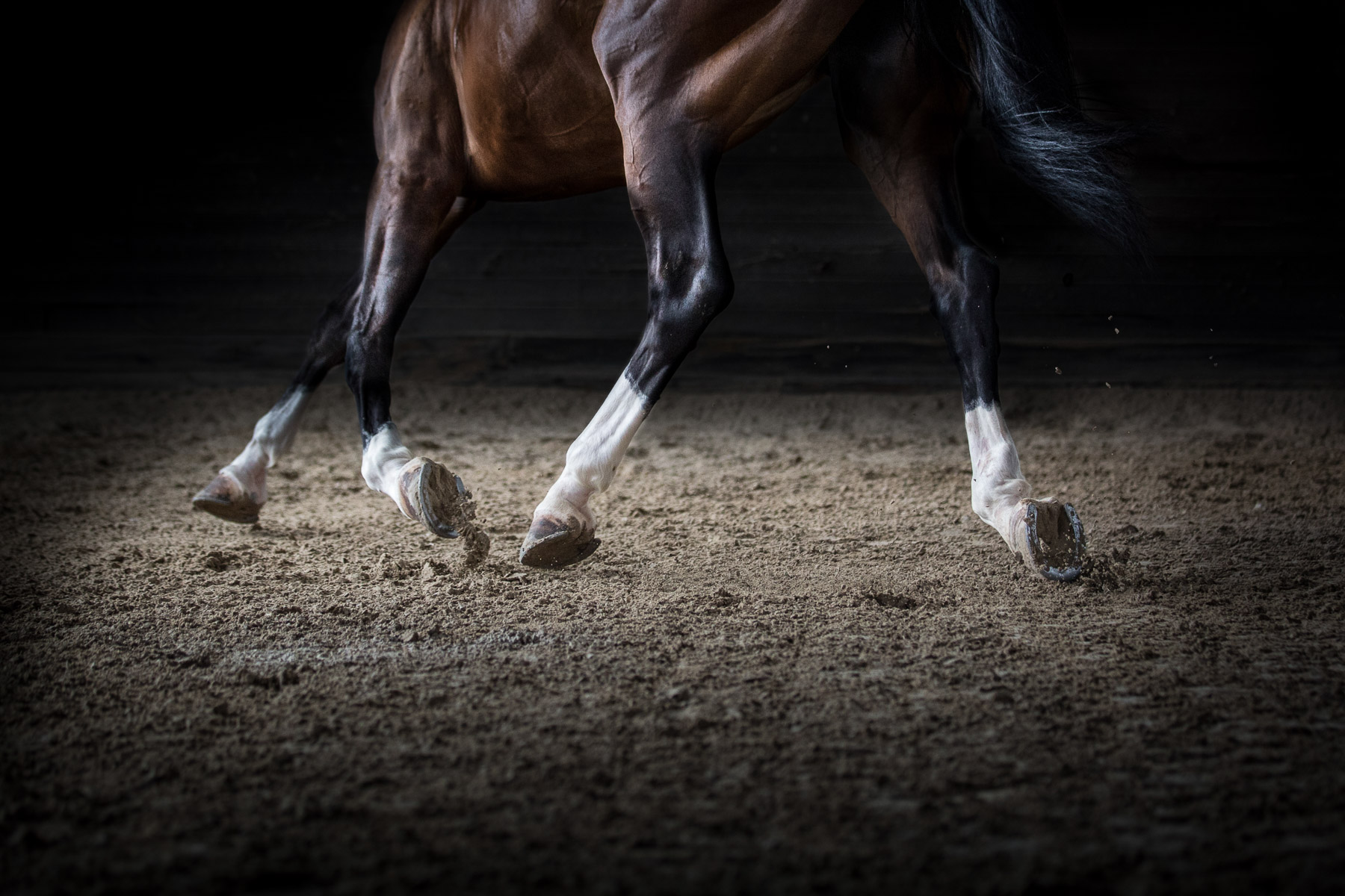 equine-horse-photography-horse-riding-fine-art.jpg