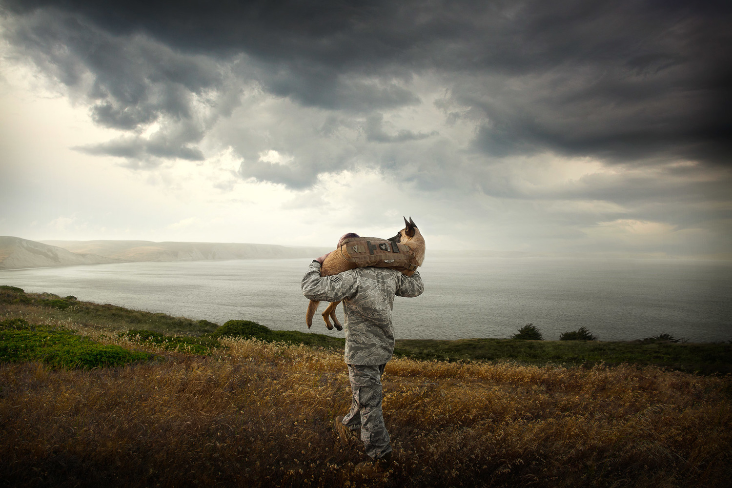 commercial-dog-photographer-military-man-with-working-belgian-malinois.jpg