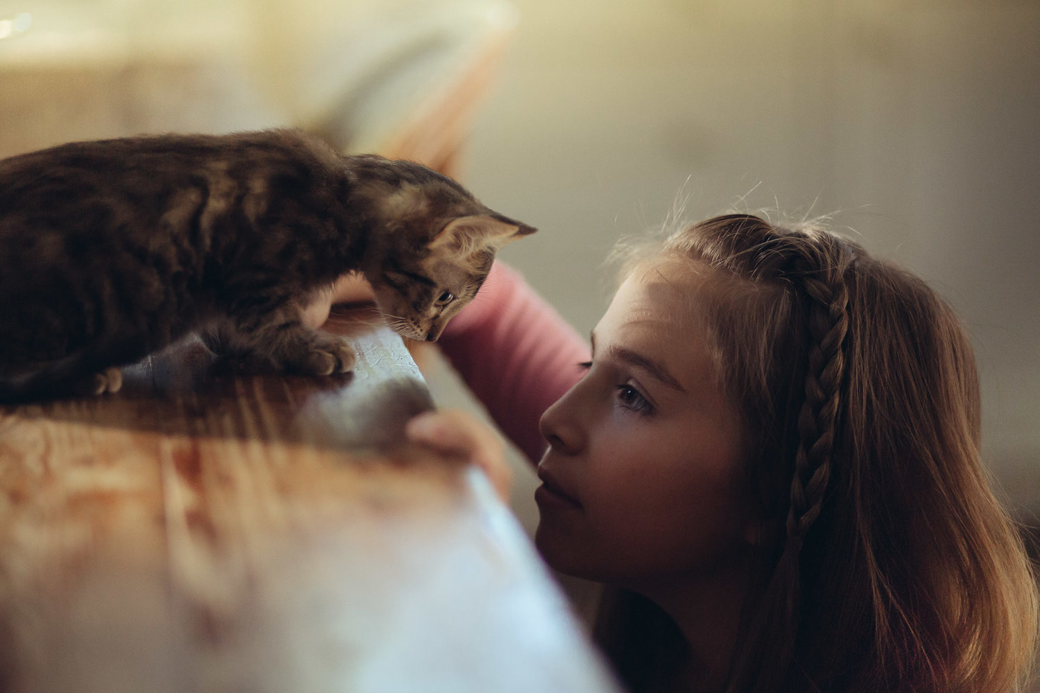 little-girl-with-kitty-kitchen-playing-animal-photographer.jpg
