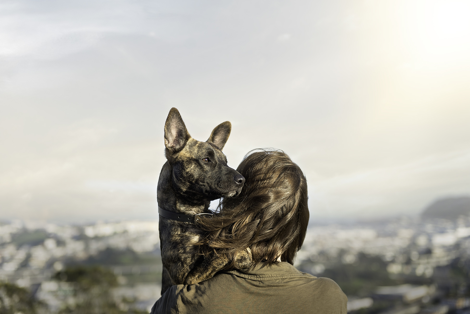 photo-of-owner-carrying-dog-photography.jpg