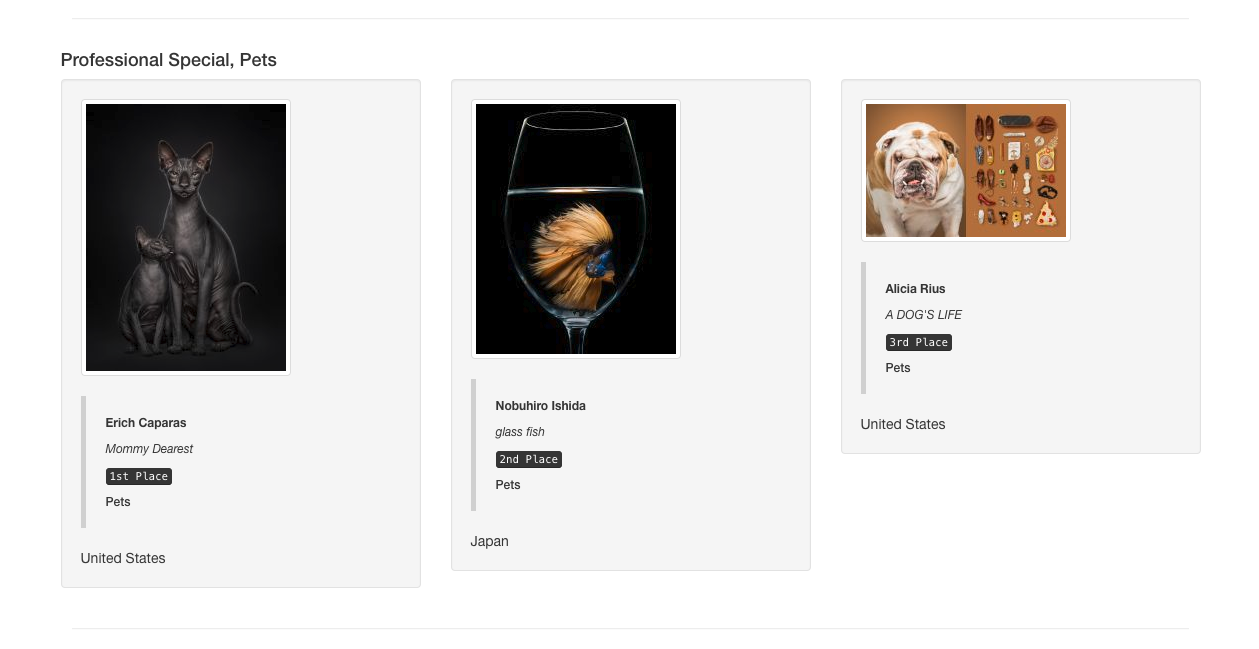 ipa-lucie-awards-2018-pets-alicia-rius-best-dog-photos-english-bulldog.png