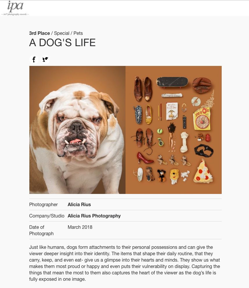 ipa-2018-awards-alicia-rius-a-dogs-life-pets-category-winner.png