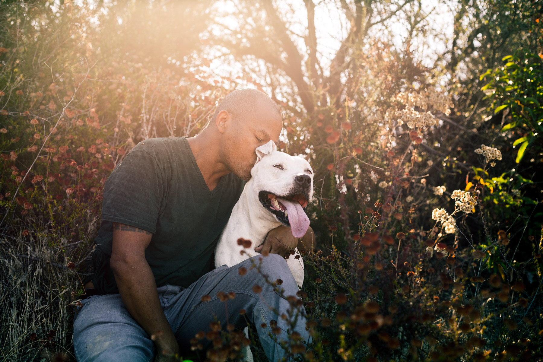 commercial-los-angeles-pet-photographer-man-kissing-dog-pitbull-sunset.jpg