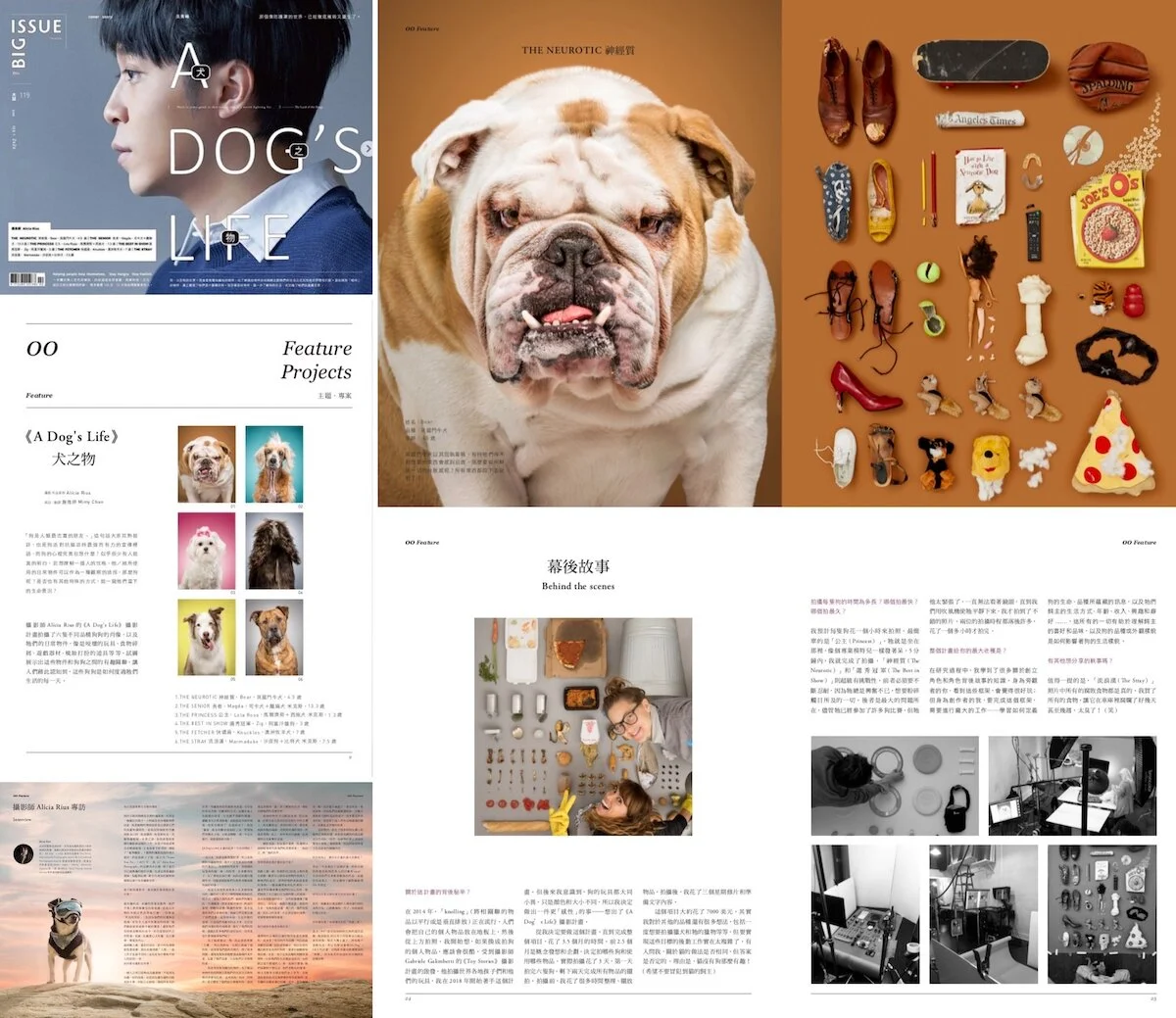 The Big Issue Magazine (Taiwan), wrote a 17-page article about my work and series “A Dog’s Life”.