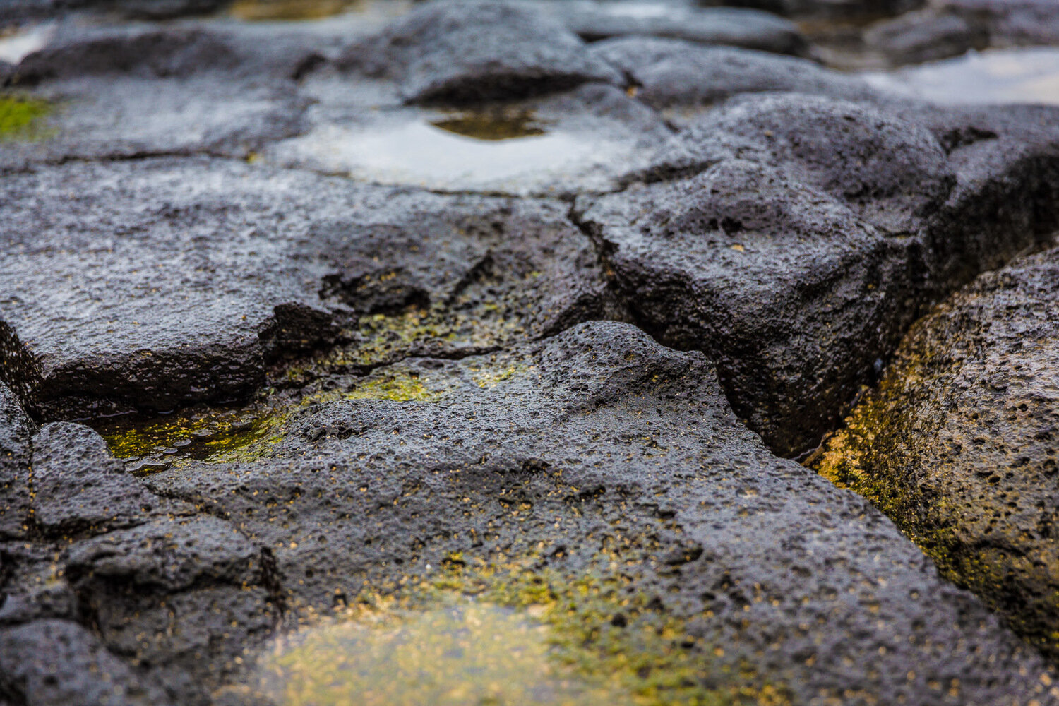 texture-macro-photography-volcanic-rocks-kapaa-beach-kauai(1).jpg