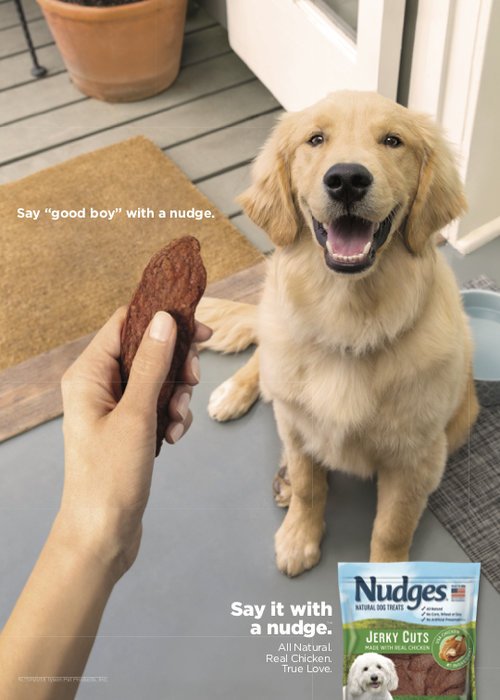 golden-labrador-puppy-eating-dog-treat-commercial-dog-photographer.jpg