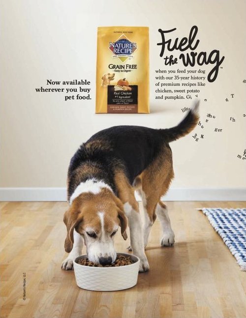 natures-recipe-print-dog-photographer-for-dog-food-dog-eating-from-bowl_web.jpg